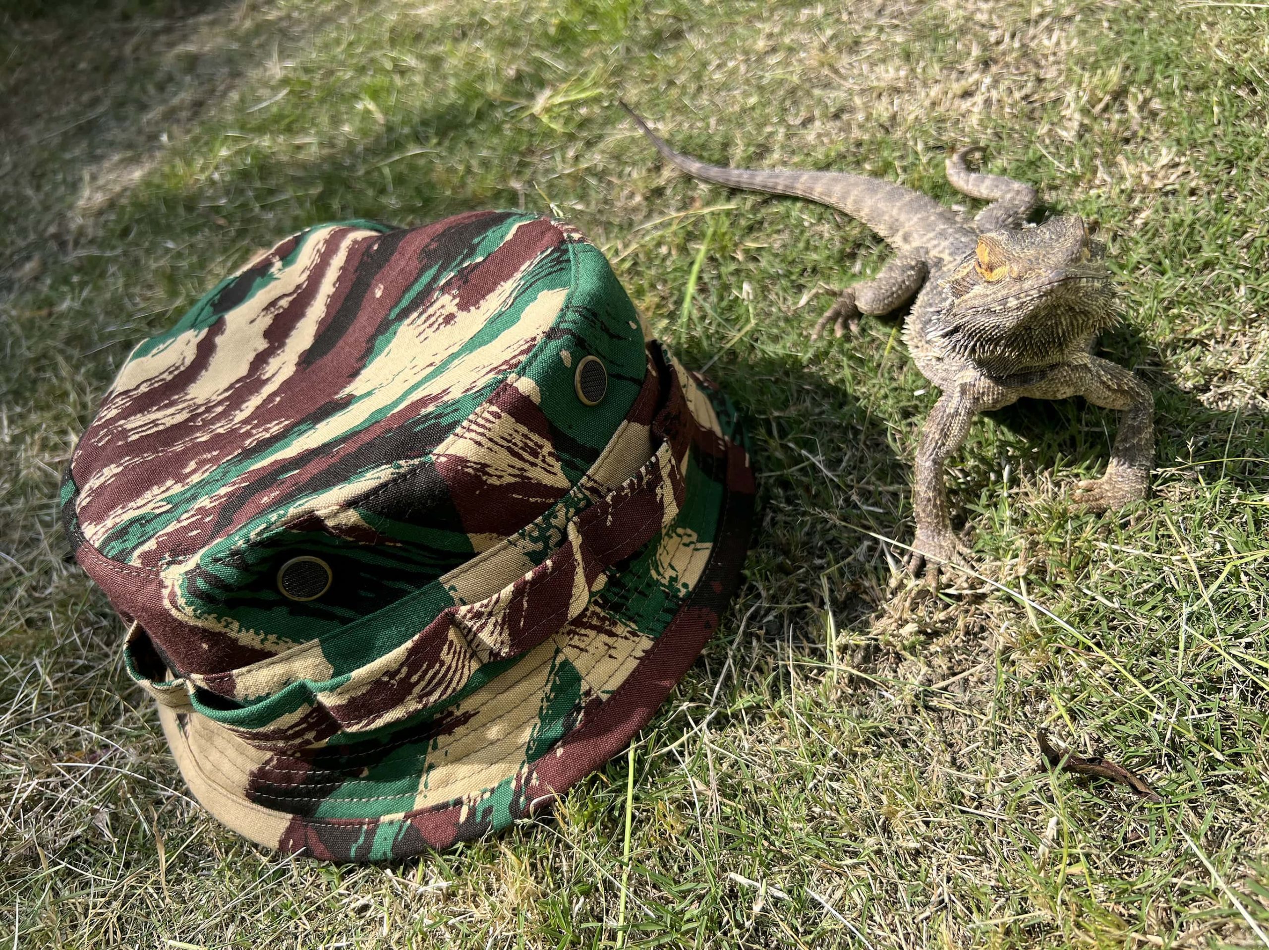 Mister Freedom® BOONIE Hat “stingy” brim, TAP47 French lizard camo