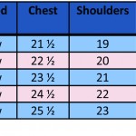 Ranch Blouse RAW sizing